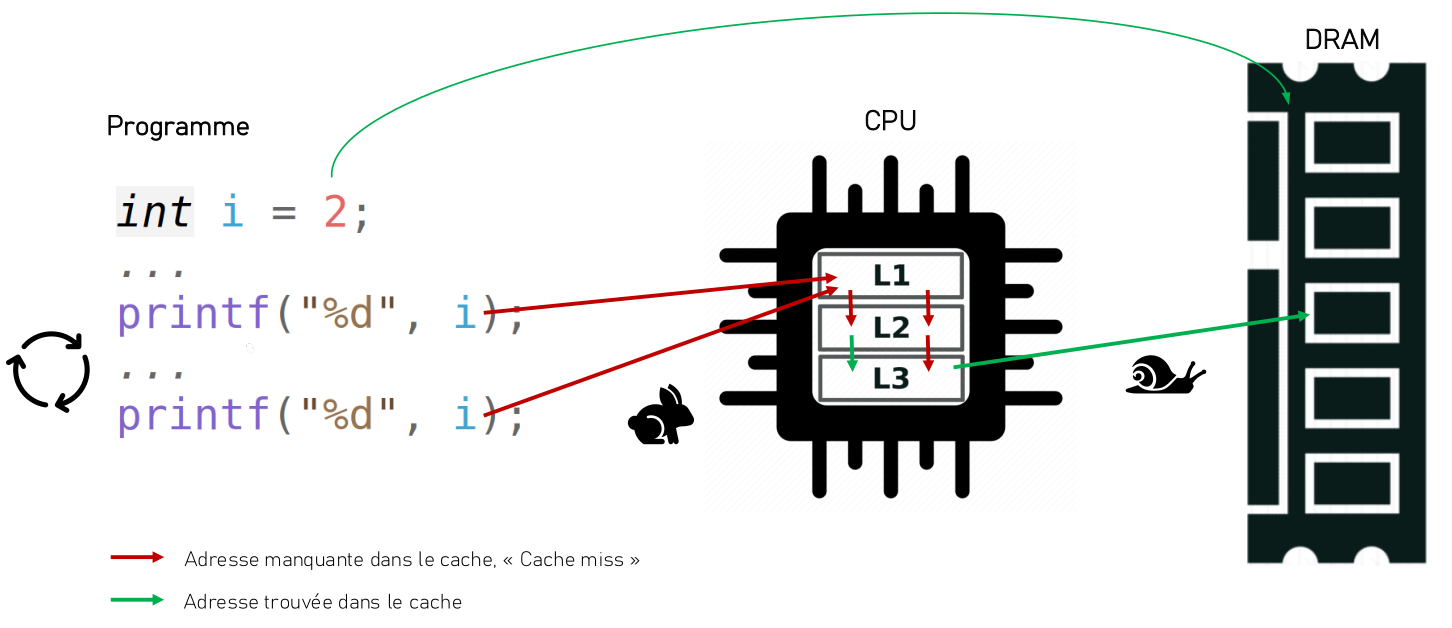 Accès aux données en cache : cache hit (vert, rapide) vs cache miss (rouge, lent)